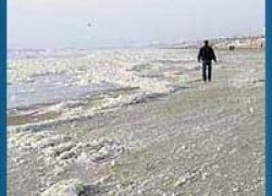Zandvoort Beach in Zandvoort