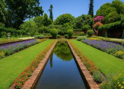 Durban Botanical Gardens
