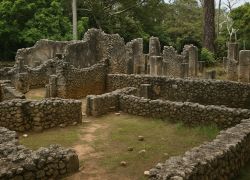 Gedi Ruins