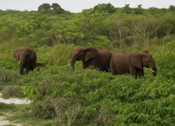 Loango National Park
