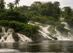 Ivindo National Park