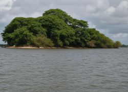 Kunta Kinteh Island