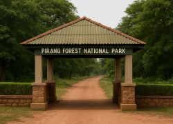 Pirang Forest National Park