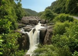 Ranomafana National Park