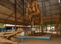 Musee National du Niger (National Museum)