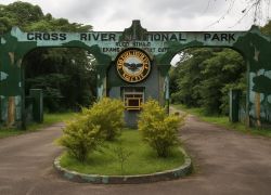 Cross River National Park