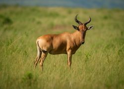 Kamuku National Park