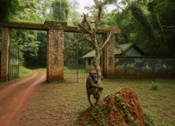 Okomu National Park