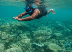 Palolo Deep Marine Reserve