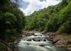 Rao Platano Biosphere Reserve