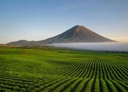 Kerinci Seblat National Park