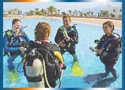 Scuba Diving in Dahab in Sinai Peninsula