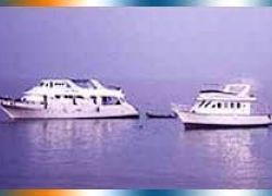 Scuba Diving in Marsa Alam in Marsa Alam