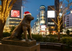 Hachiko Statue