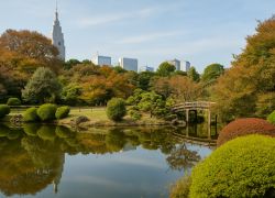 Shinjuku Gyoen