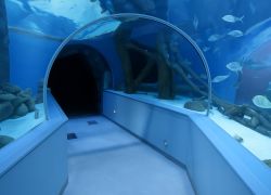 Sharjah Aquarium