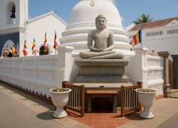 Japanese Peace Pagoda