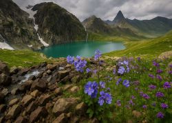 Gadsar Lake Jammu & Kashmir, Sonamarg - Places to visit in Sonamarg