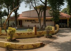 Tribal Museum Ranchi - 4 Night 5 Days Ranchi-netarhat-betla-mccluskieganj Tour Program - 4 Nights / 5 Days covering Ranchi - Ohio