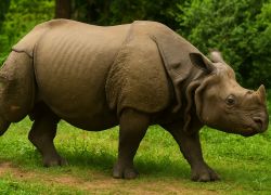 Saraighat Bridge, Guwahati - 7 Night Kaziranga - Shillong - Cherrapunji - Guwahati Tour