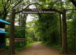 Mangalavanam Bird Sanctuary, Kochi - Kerala Tour Package 8 Night - 9 Days