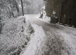 Garam Sadak, Dalhousie - 9 Night - 10 Days Himachal Pradesh Tour Package - 2