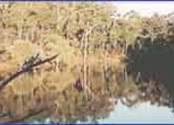 Lesueur National Park in Perth