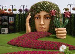 Miracle Garden Dubai - Dubai - Abu Dhabi Premium Escape 6N - 7D Tour - 6 Nights / 7 Days covering Dubai - Abu Dhabi