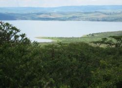 Albert Falls Dam Nature Reserve in Battlefields