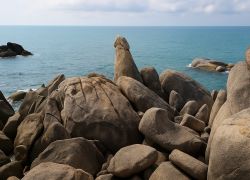 Hin Ta and Hin Yai Rocks, Ko Samui - Places to visit in Ko Samui, Thailand
