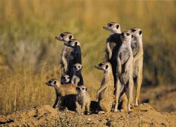 Camdeboo National Park