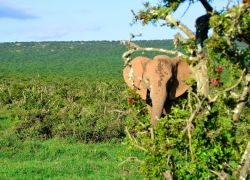 Garden Route National Park