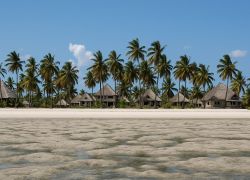 Kigongo Beach, Mwanza - Places to visit in Mwanza, Tanzania