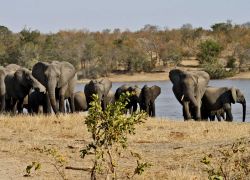 Kruger National Park