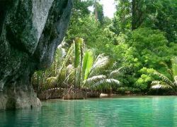 River Gambia National Park in Niamina East