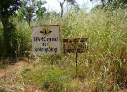 Kiang West National Park in Kiang West