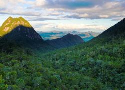 Masoala National Park in Northeast Madagascar