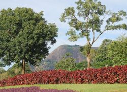 Millennium Park (Abuja) in Abuja