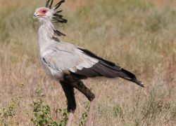 Kamuku National Park in Kaduna