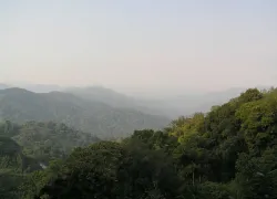 Nyungwe Forest National Park