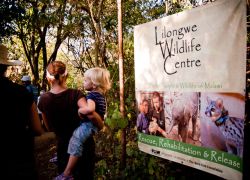 Lilongwe Wildlife Centre, Malawi in Lilongwe