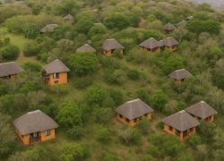 Hluhluwe–iMfolozi Park, Durban - Places to visit in Durban, South Africa