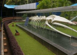 Port Blair Tour Packages