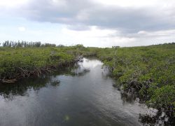 Lucayan National Park in Freeport