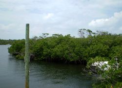 Black Sound Cay National Reserve in Abaco Islands
