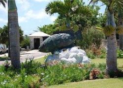 Bermuda Aquarium, Museum and Zoo (BAMZ) in Flatts Village