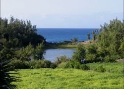 Spittal Pond Nature Reserve in Hamilton Bermuda