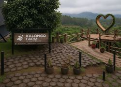 Kimboza Forest Reserve, Morogoro - Places to visit in Morogoro, Tanzania