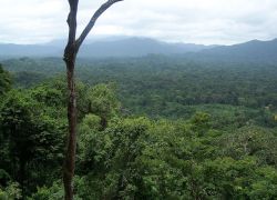 Rao Platano Biosphere Reserve in La Mosquitia