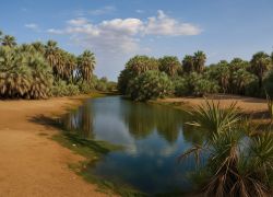 kalacha Oasis in Marsabit